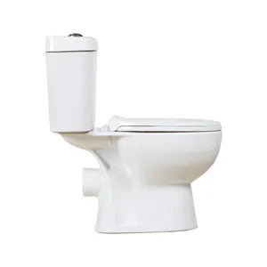 WC Monobloc en Céramique Blanc